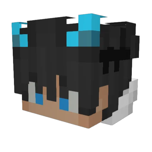 HvyTrash Minecraft avatar head, 3D render