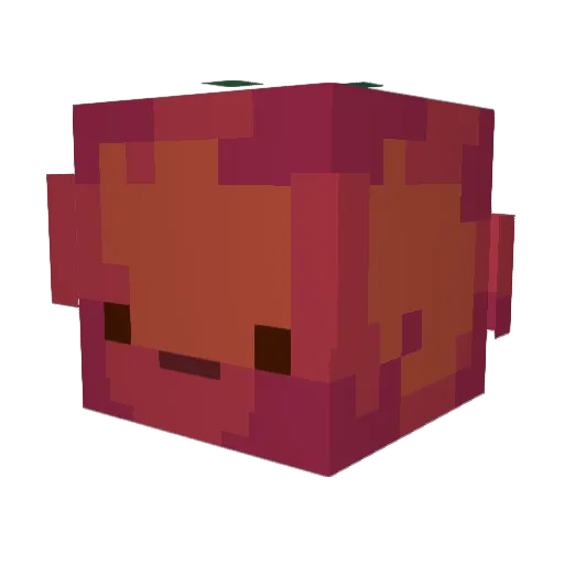 Hwarang_0123 Minecraft avatar head, 3D render