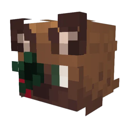 HwatASwitchGuy Minecraft avatar head, 3D render
