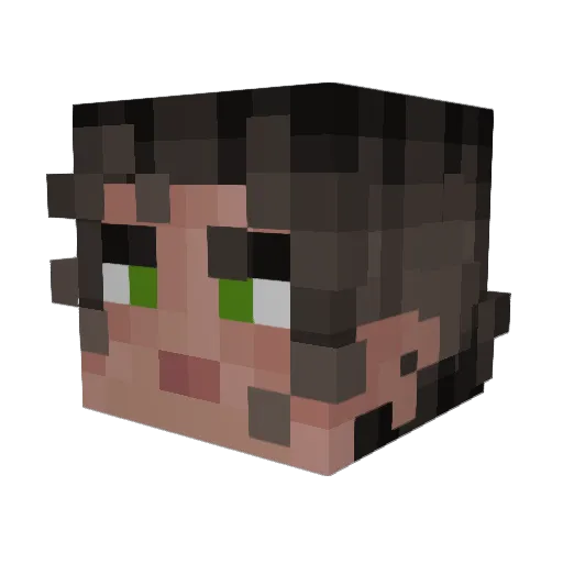 HwdyChris Minecraft avatar head, 3D render