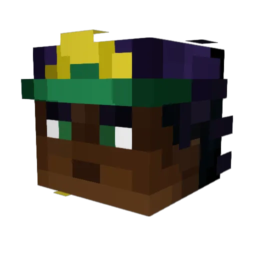 HwoCaress Minecraft avatar head, 3D render