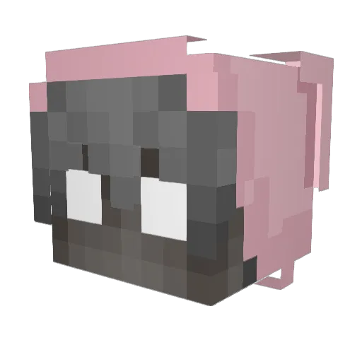 Hwydy Minecraft avatar head, 3D render