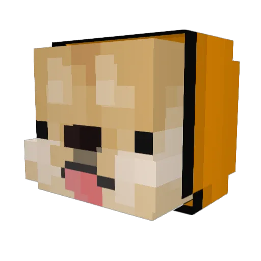 HxHG Minecraft avatar head, 3D render