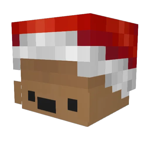 HxHxdf Minecraft avatar head, 3D render