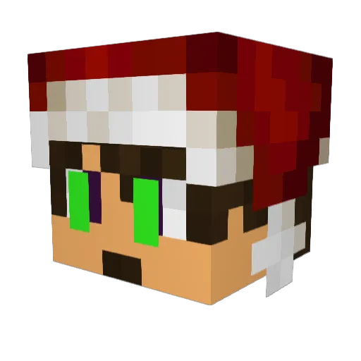 Hxctorr Minecraft avatar head, 3D render
