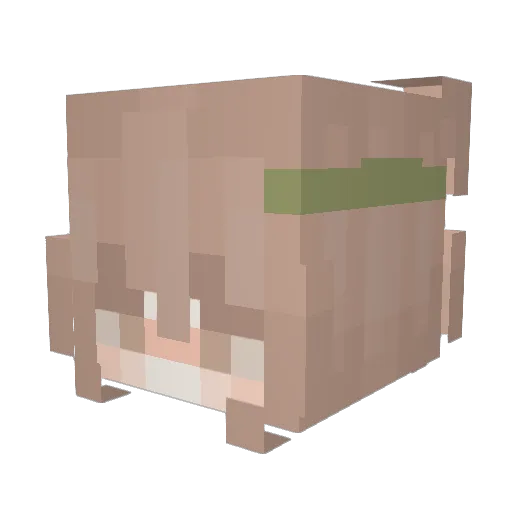 Hxdda2903 Minecraft avatar head, 3D render