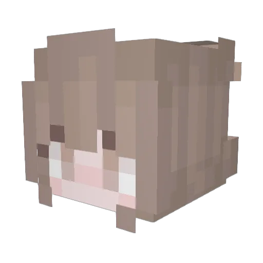 Hxdenkrxbs Minecraft avatar head, 3D render