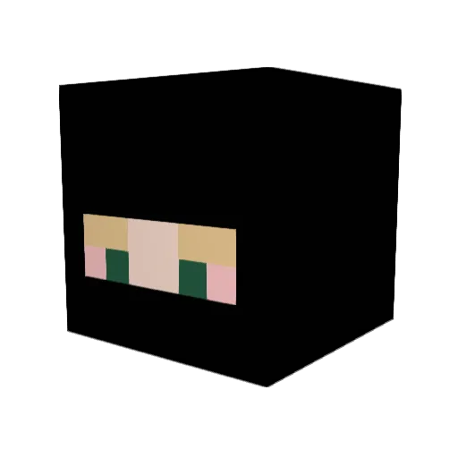 Hxdes66 Minecraft avatar head, 3D render