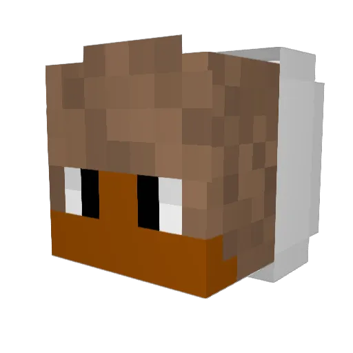 Hxfiz101 Minecraft avatar head, 3D render
