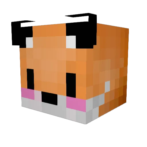 HxllCxt Minecraft avatar head, 3D render