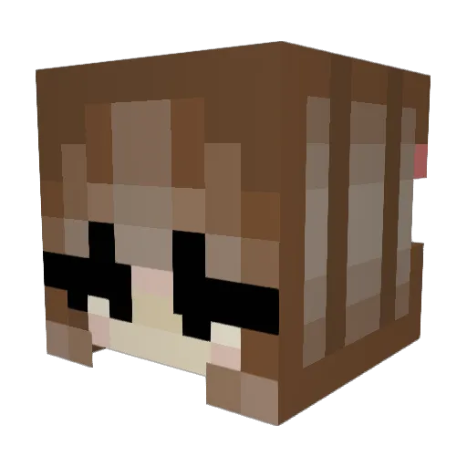 Hxllee Minecraft avatar head, 3D render