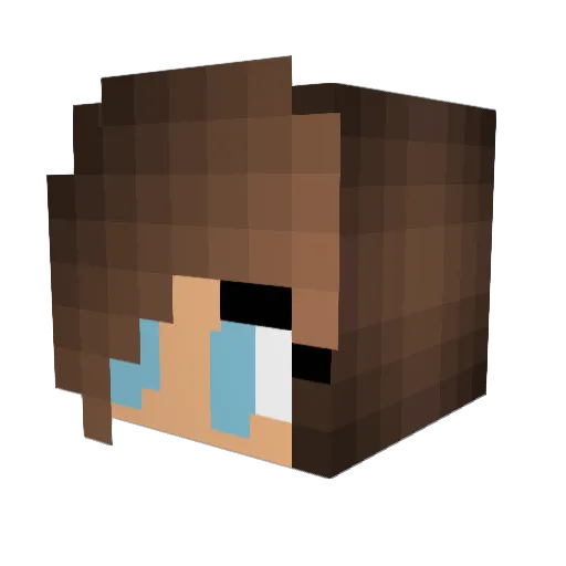 Hxlls008 Minecraft avatar head, 3D render