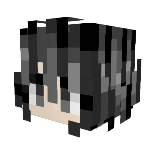 Hxnnes79 Minecraft avatar head, 3D render