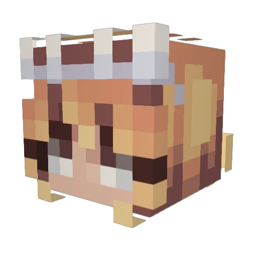 Hxppie__ Minecraft avatar head, 3D render