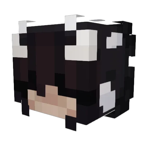Hxsxxb Minecraft avatar head, 3D render