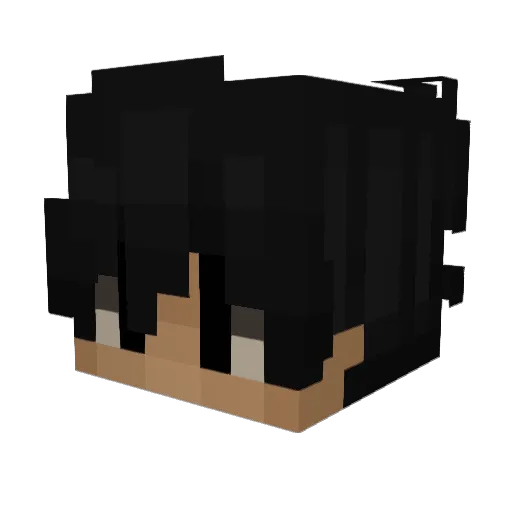 Hxtx Minecraft avatar head, 3D render