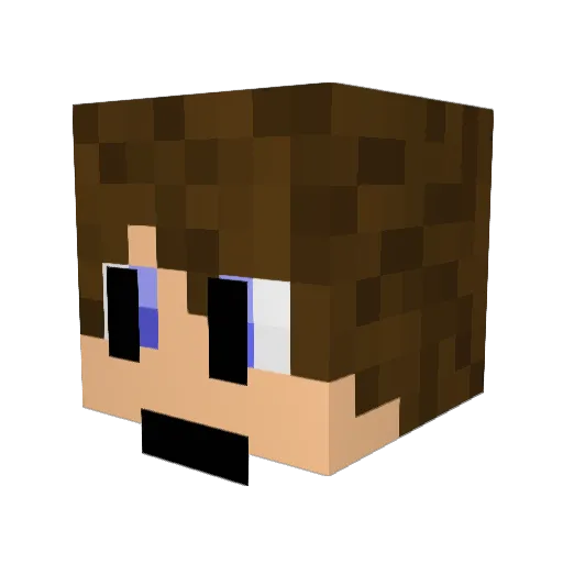Hxwtxn Minecraft avatar head, 3D render