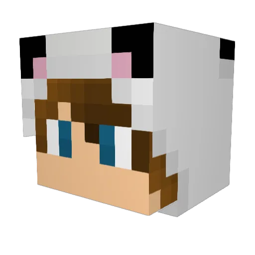Hy3Mo Minecraft avatar head, 3D render