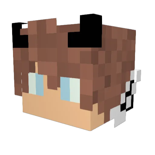 HyEoN_Se0nG Minecraft avatar head, 3D render