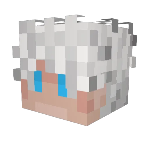 HyGoww Minecraft avatar head, 3D render