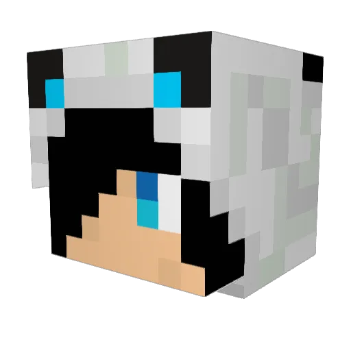 HyOnixxx Minecraft avatar head, 3D render