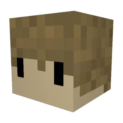 HyTyde_Herping Minecraft avatar head, 3D render