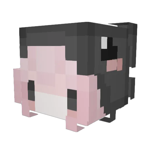 Hyaacine Minecraft avatar head, 3D render