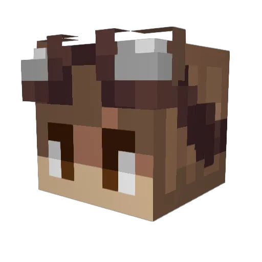 Hyanara Minecraft avatar head, 3D render