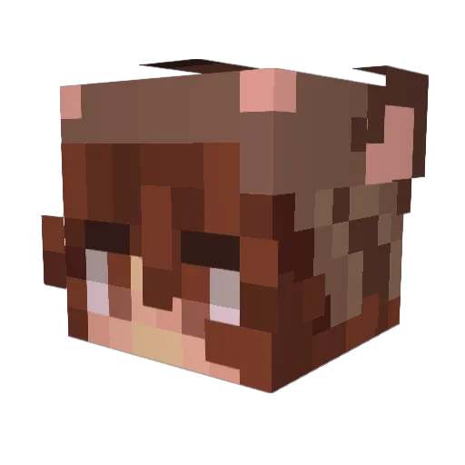 Hyanen17 Minecraft avatar head, 3D render