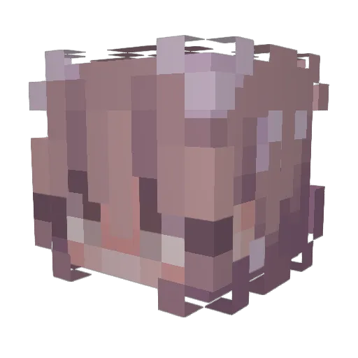 HybridAngel83 Minecraft avatar head, 3D render