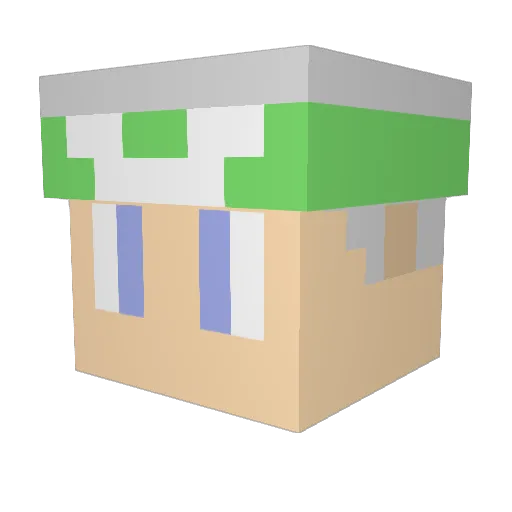 HybridMonkeyD Minecraft avatar head, 3D render