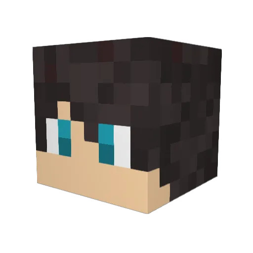 Hybridlynx Minecraft avatar head, 3D render