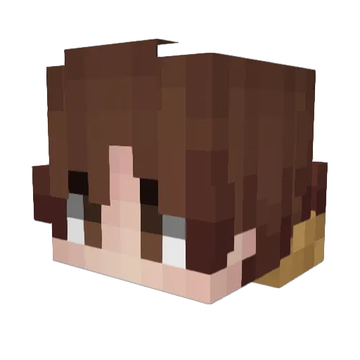 Hyco75 Minecraft avatar head, 3D render