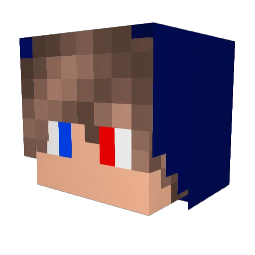Hydawn Minecraft avatar head, 3D render