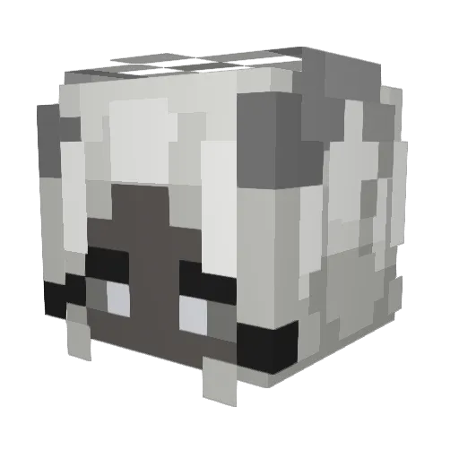 HydeCoZy Minecraft avatar head, 3D render