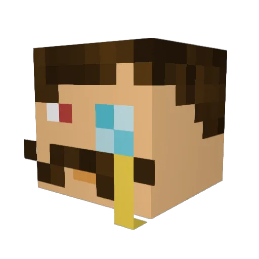 Hydr0316 Minecraft avatar head, 3D render