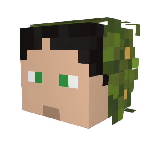 Hydr0Homie Minecraft avatar head, 3D render