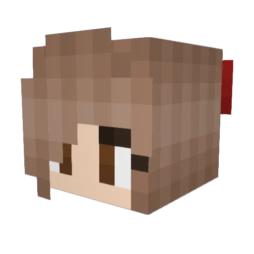 Hydra317 Minecraft avatar head, 3D render
