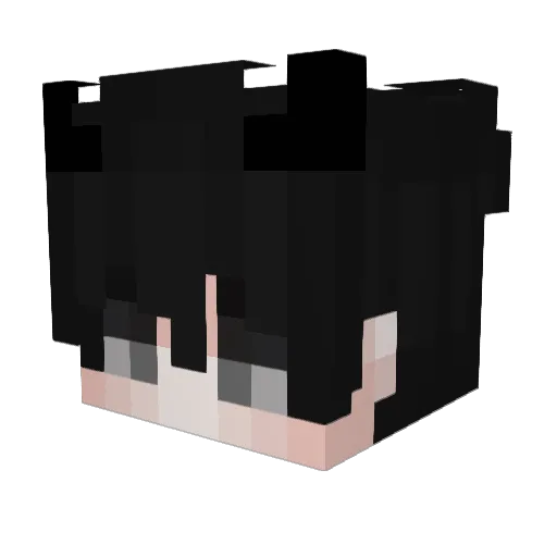 Hydra8114 Minecraft avatar head, 3D render