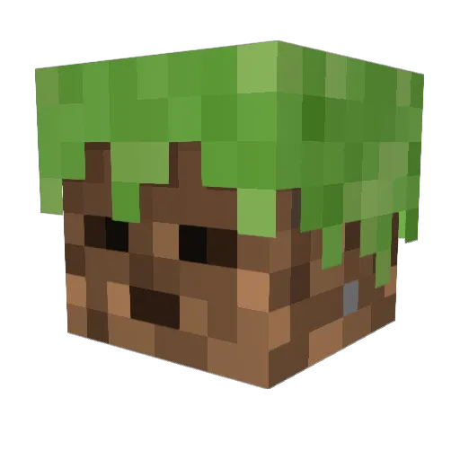 HydraHoon Minecraft avatar head, 3D render