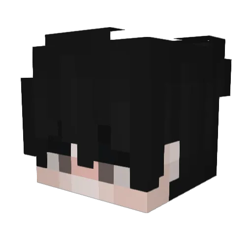HydraIntel Minecraft avatar head, 3D render