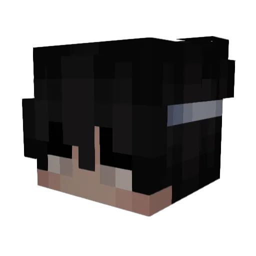 HydraPL_ Minecraft avatar head, 3D render