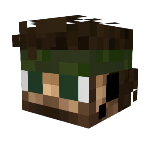 Hydra_87 Minecraft avatar head, 3D render