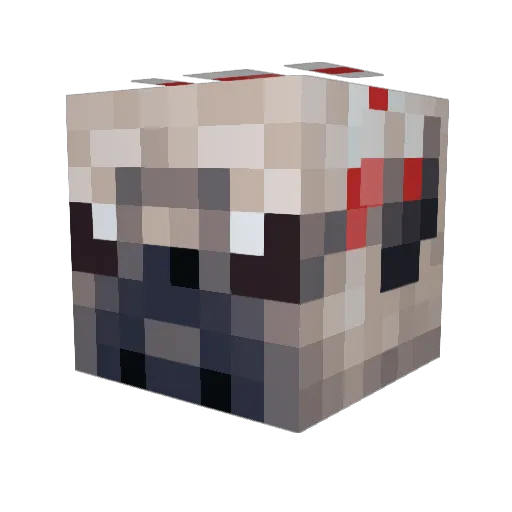 HydrauliCat Minecraft avatar head, 3D render