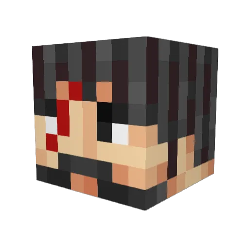 HydraulicPirate Minecraft avatar head, 3D render