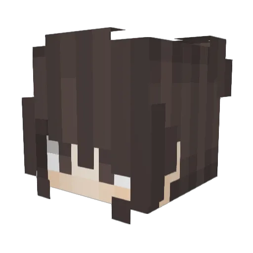 Hydro Minecraft avatar head, 3D render