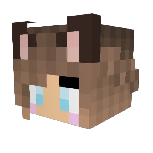 HydroDrift Minecraft avatar head, 3D render