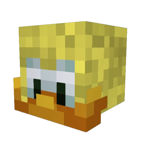 HydroDuckling Minecraft avatar head, 3D render
