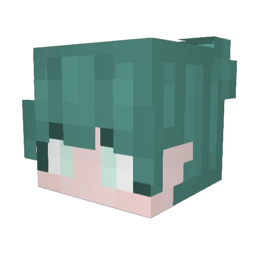 HydroPoleCat5 Minecraft avatar head, 3D render