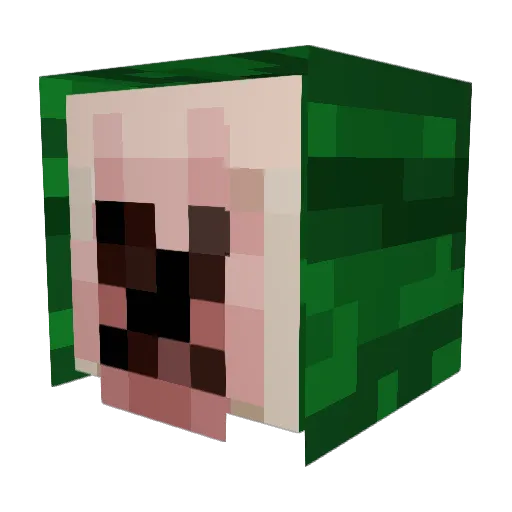 Hydro_Snowboard Minecraft avatar head, 3D render